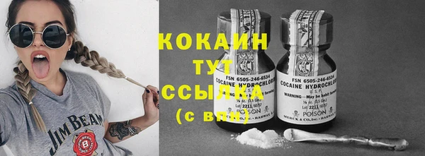 прущие грибы Верхний Тагил