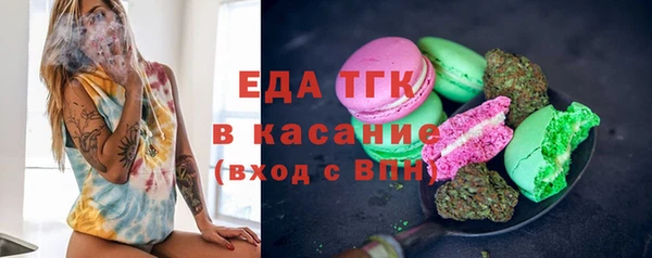прущие грибы Верхний Тагил