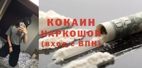 прущие грибы Верхний Тагил