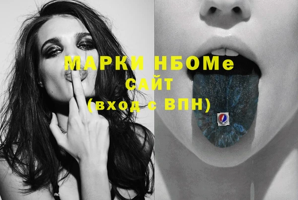 прущие грибы Верхний Тагил