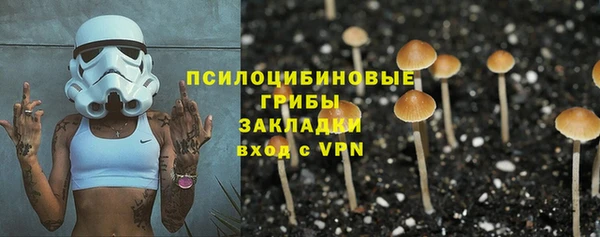 ПСИЛОЦИБИНОВЫЕ ГРИБЫ Верхнеуральск